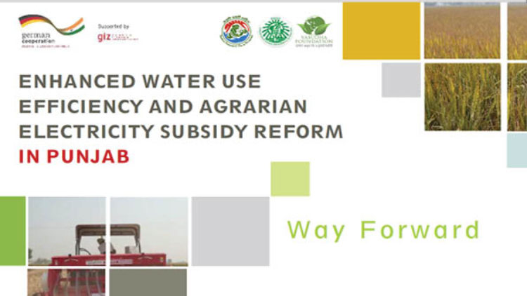 Enhanced Water Use Efficiency And Agrarian Electricity Subsidy Reform in Punjab