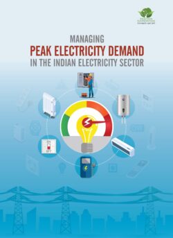 Managing Peak Electricity Demand in the Indian Electricity Sector