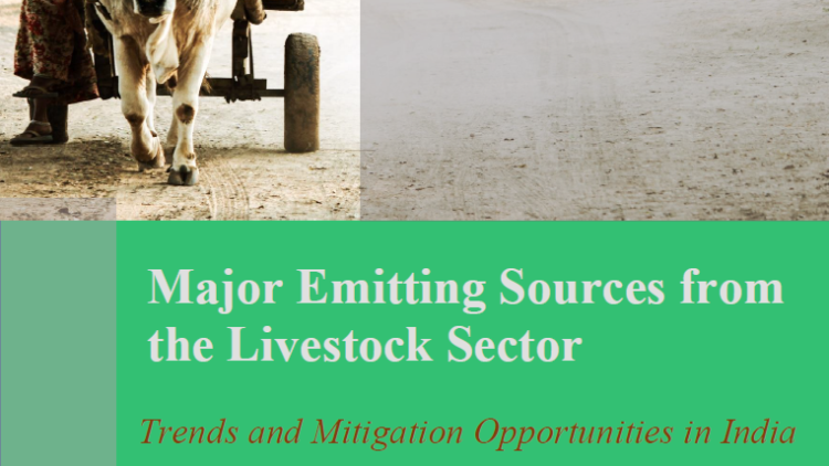 Briefing Paper | Major Emitting Sources from the Livestock Sector: Trends and Mitigation Opportunities in India