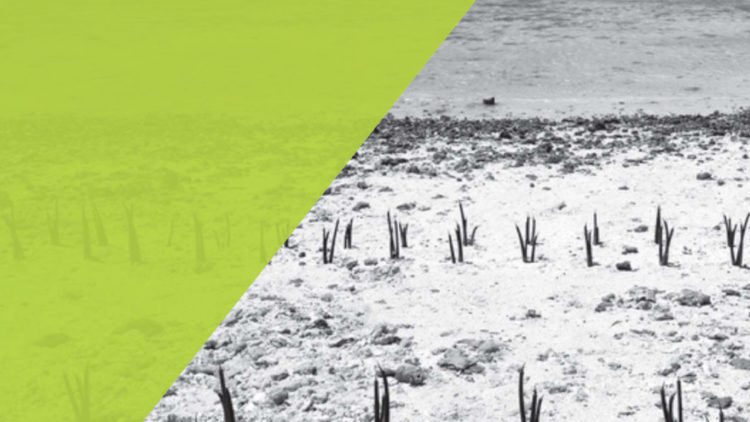 Policy Framework and Preparedness for Implementing Measures to Effectively Deal with Climate Change