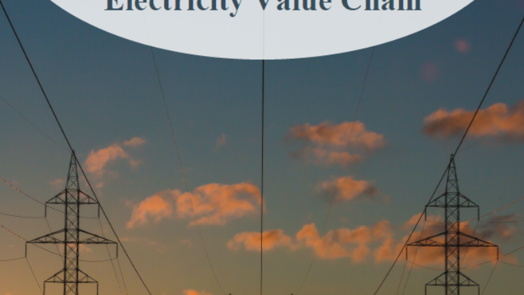 Assessing Key Aspects of Uttar Pradesh’s Electricity Value Chain