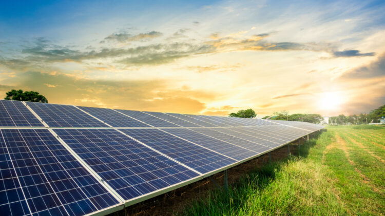 Empowering India’s Solar Revolution: From Manufacturing Milestones to Next-Gen Efficiency